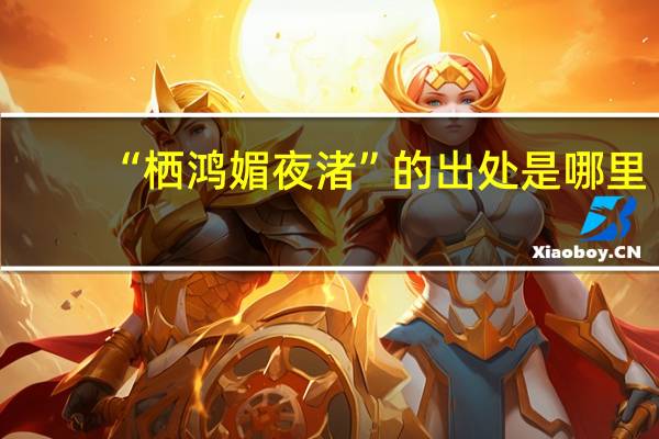 “栖鸿媚夜渚”的出处是哪里