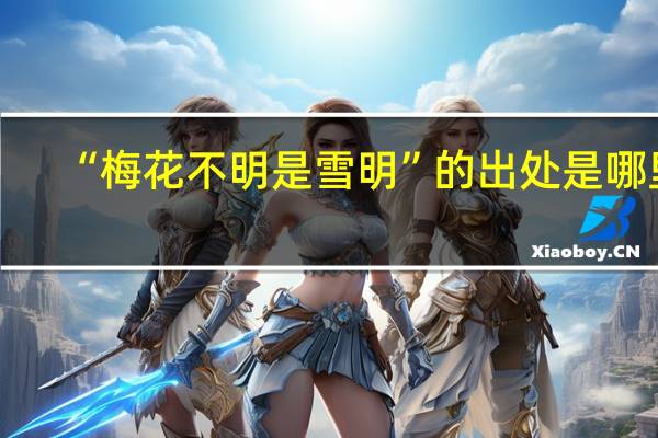 “梅花不明是雪明”的出处是哪里
