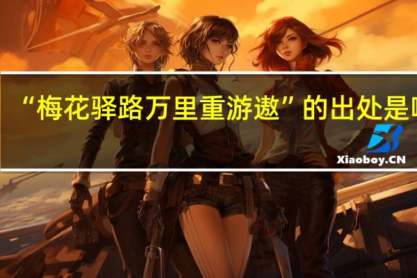 “梅花驿路万里重游遨”的出处是哪里