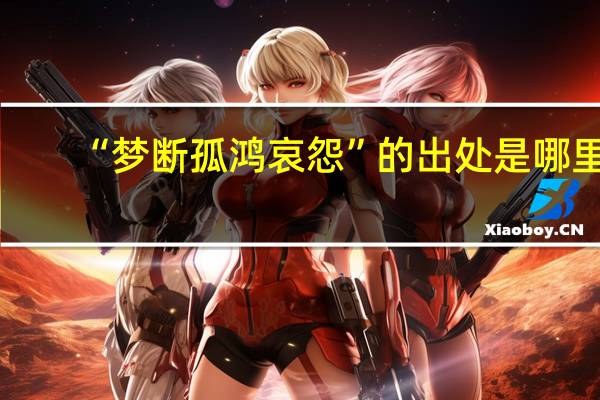 “梦断孤鸿哀怨”的出处是哪里