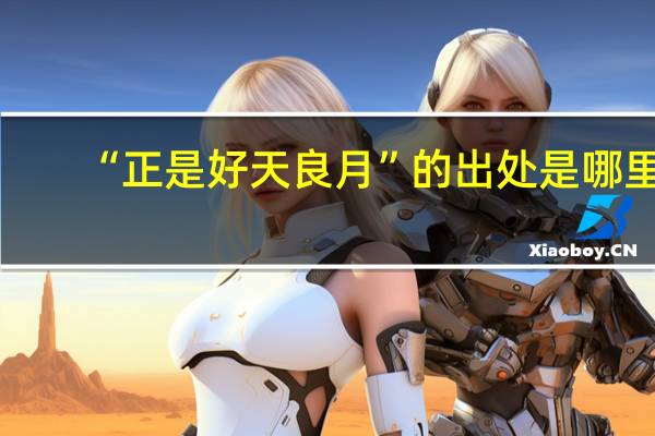 “正是好天良月”的出处是哪里