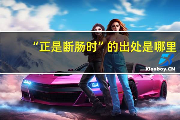 “正是断肠时”的出处是哪里