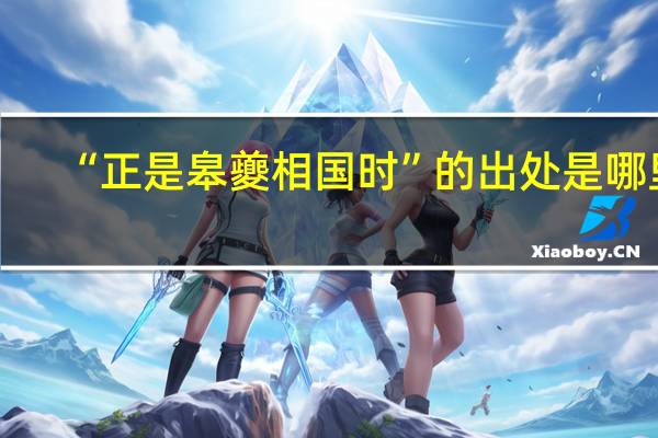 “正是皋夔相国时”的出处是哪里