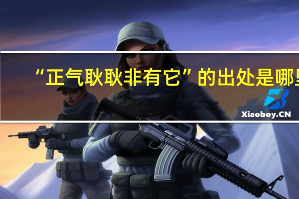 “正气耿耿非有它”的出处是哪里