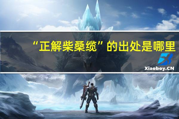“正解柴桑缆”的出处是哪里