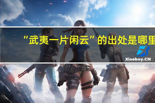 “武夷一片闲云”的出处是哪里