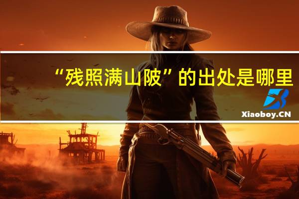 “残照满山陂”的出处是哪里