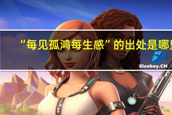 “每见孤鸿每生感”的出处是哪里