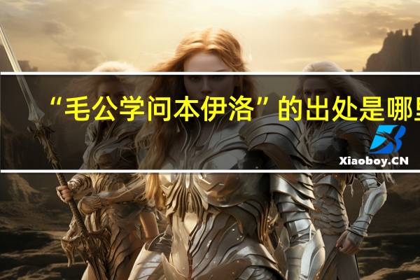 “毛公学问本伊洛”的出处是哪里