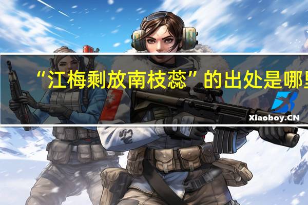 “江梅剩放南枝蕊”的出处是哪里