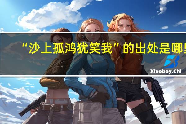 “沙上孤鸿犹笑我”的出处是哪里
