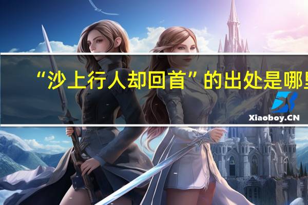 “沙上行人却回首”的出处是哪里