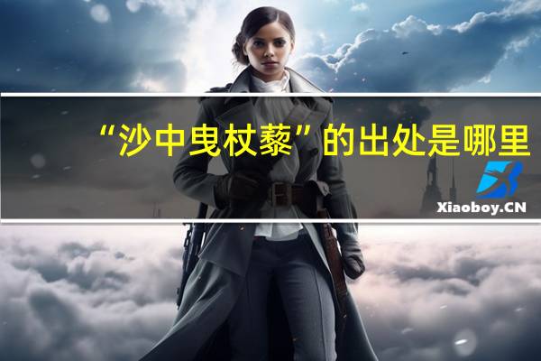 “沙中曳杖藜”的出处是哪里