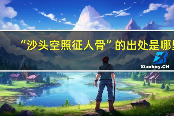 “沙头空照征人骨”的出处是哪里