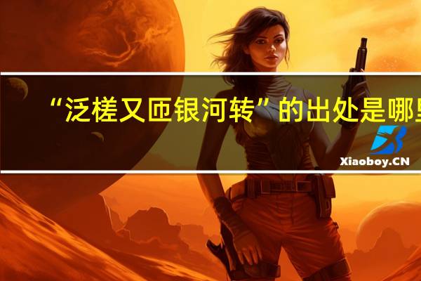 “泛槎又匝银河转”的出处是哪里