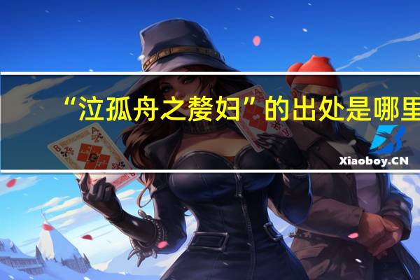 “泣孤舟之嫠妇”的出处是哪里