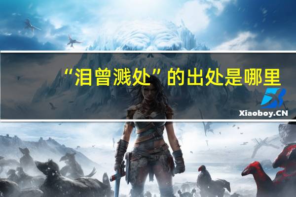 “泪曾溅处”的出处是哪里