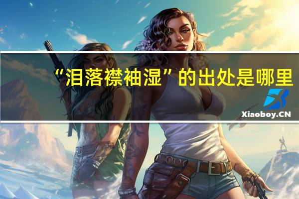 “泪落襟袖湿”的出处是哪里