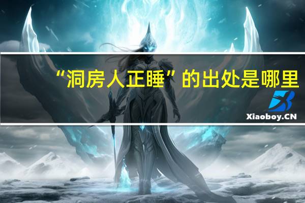 “洞房人正睡”的出处是哪里
