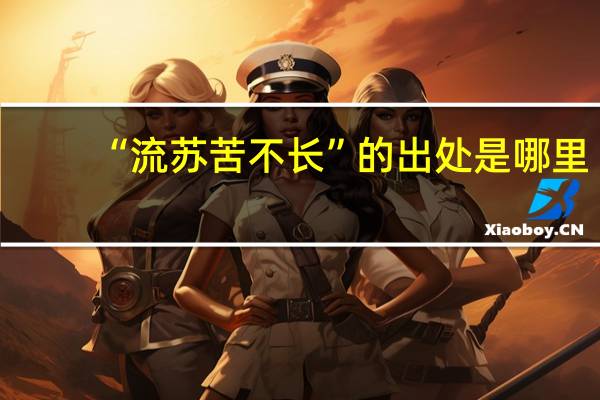 “流苏苦不长”的出处是哪里