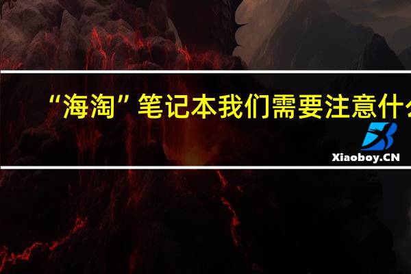 “海淘”笔记本我们需要注意什么