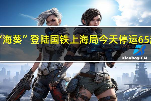 “海葵”登陆 国铁上海局今天停运65趟列车