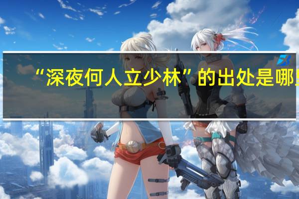 “深夜何人立少林”的出处是哪里