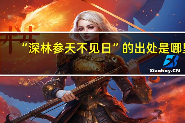 “深林参天不见日”的出处是哪里