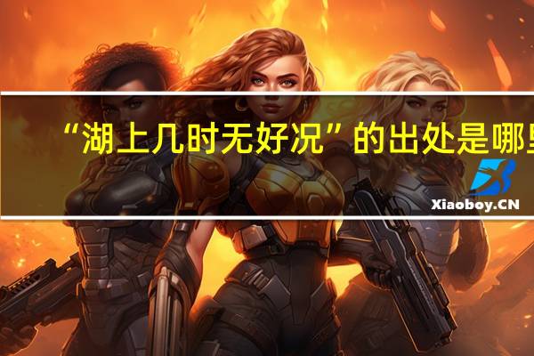 “湖上几时无好况”的出处是哪里