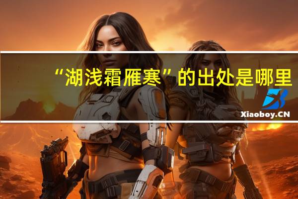 “湖浅霜雁寒”的出处是哪里
