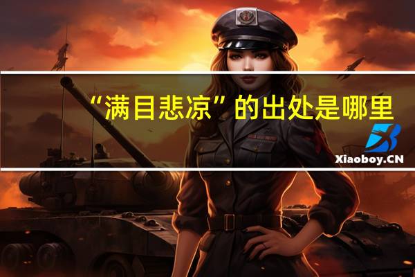 “满目悲凉”的出处是哪里