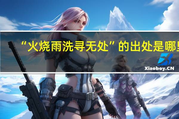 “火烧雨洗寻无处”的出处是哪里