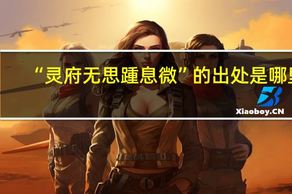 “灵府无思踵息微”的出处是哪里