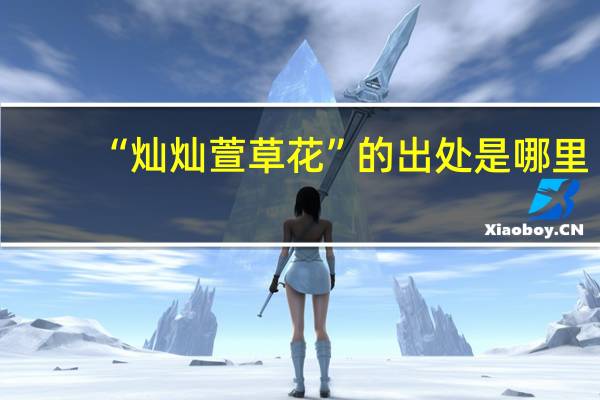 “灿灿萱草花”的出处是哪里
