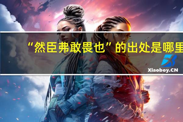 “然臣弗敢畏也”的出处是哪里