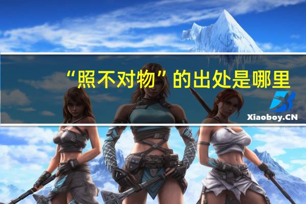 “照不对物”的出处是哪里