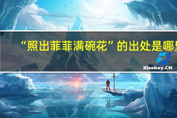 “照出菲菲满碗花”的出处是哪里