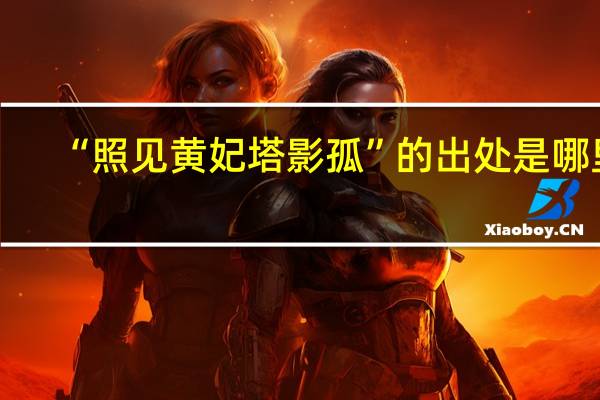 “照见黄妃塔影孤”的出处是哪里