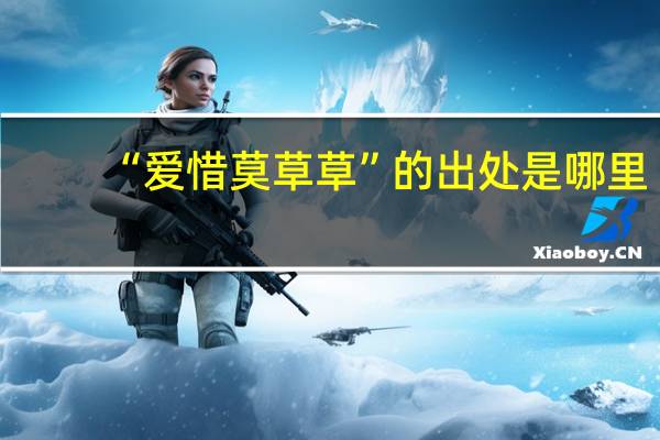 “爱惜莫草草”的出处是哪里