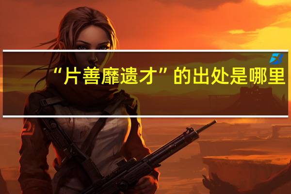 “片善靡遗才”的出处是哪里