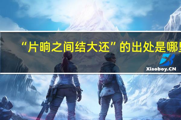 “片晌之间结大还”的出处是哪里