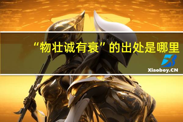 “物壮诚有衰”的出处是哪里