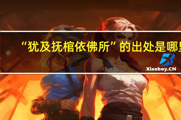 “犹及抚棺依佛所”的出处是哪里
