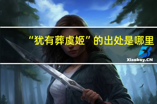 “犹有葬虞姬”的出处是哪里