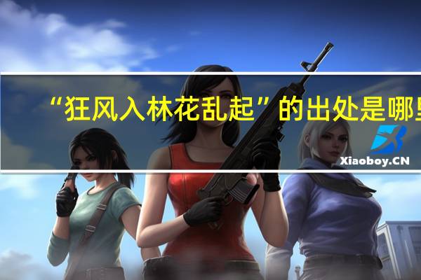 “狂风入林花乱起”的出处是哪里