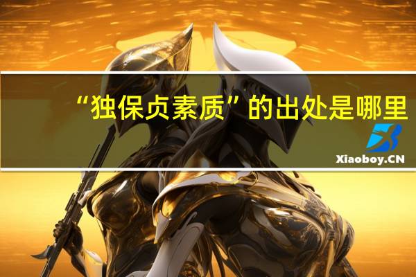 “独保贞素质”的出处是哪里