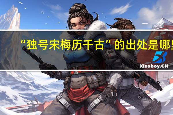 “独号宋梅历千古”的出处是哪里