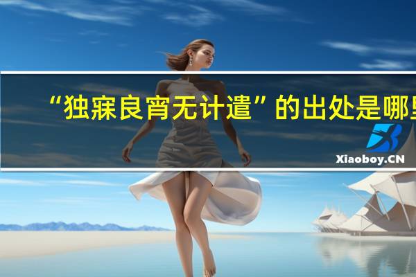 “独寐良宵无计遣”的出处是哪里