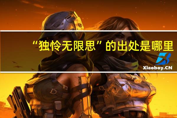 “独怜无限思”的出处是哪里