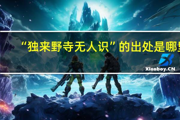 “独来野寺无人识”的出处是哪里